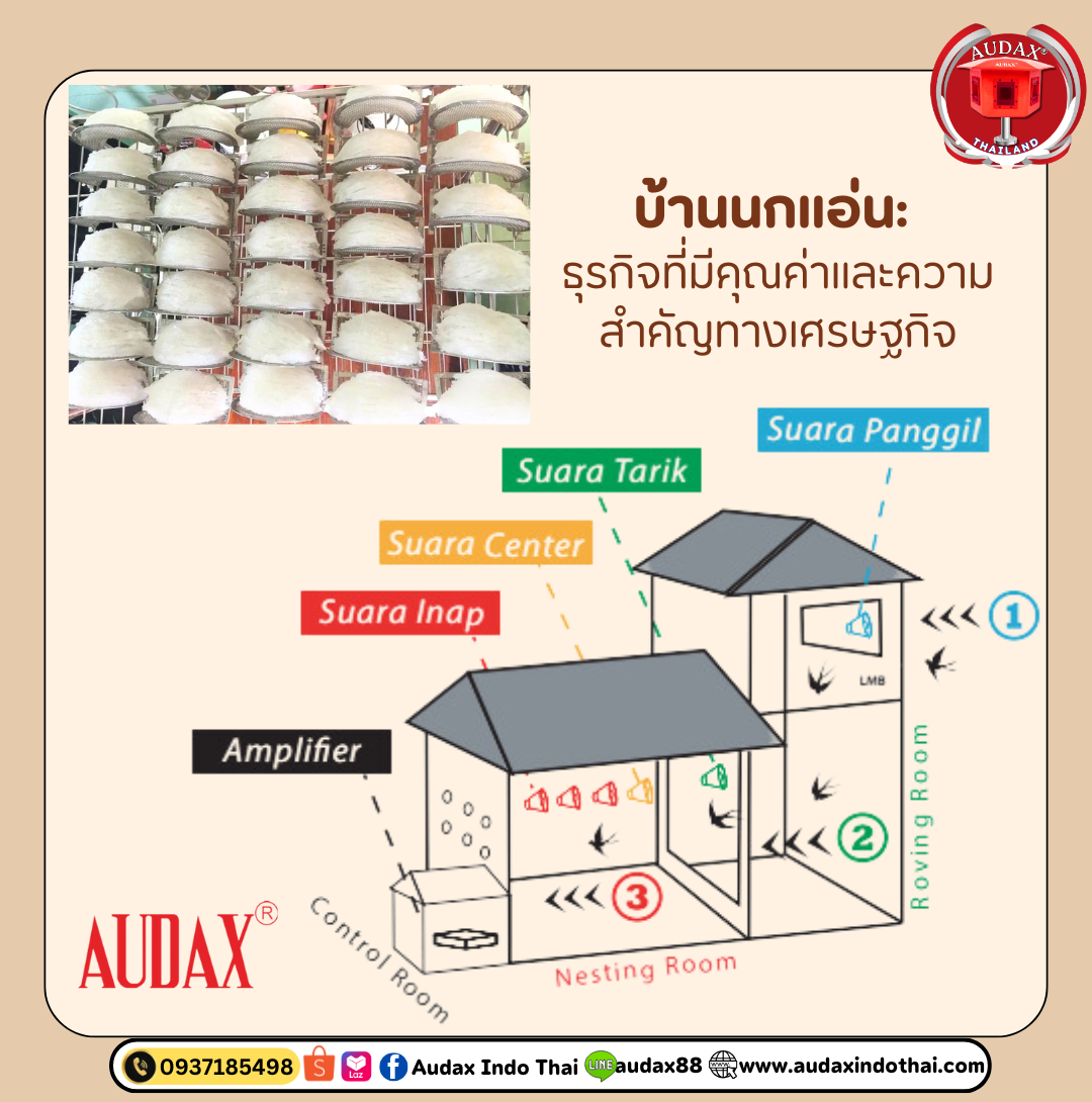 บ้านนกแอ่น: ธุรกิจที่มีคุณค่าและความสำคัญทางเศรษฐกิจ